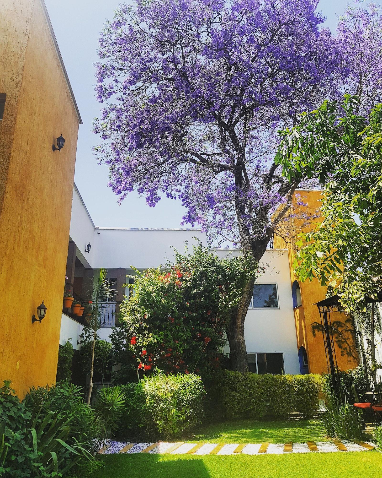 Hotel Quinta Lucca เกเรตาโร ภายนอก รูปภาพ